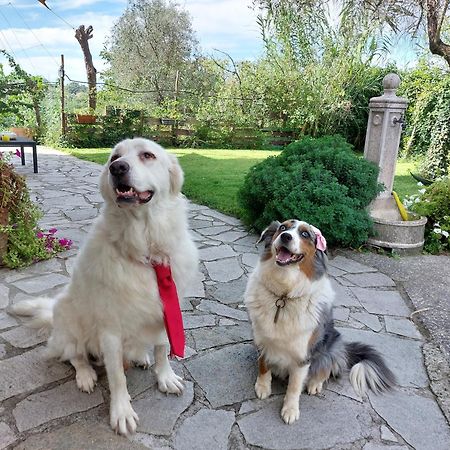 Il Giardino Del Nespolo Hotel Arcola Kültér fotó